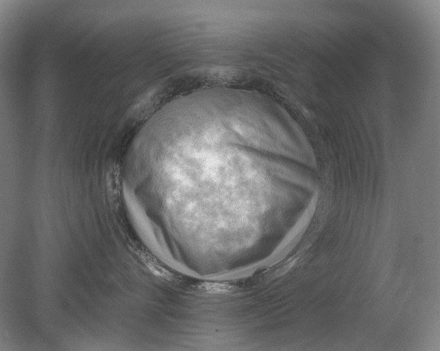 X0000079330528200612011911