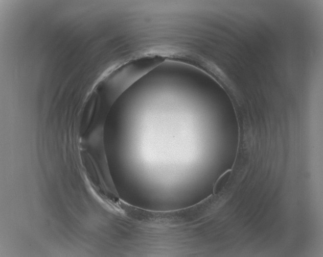 X0000079330530200612011910