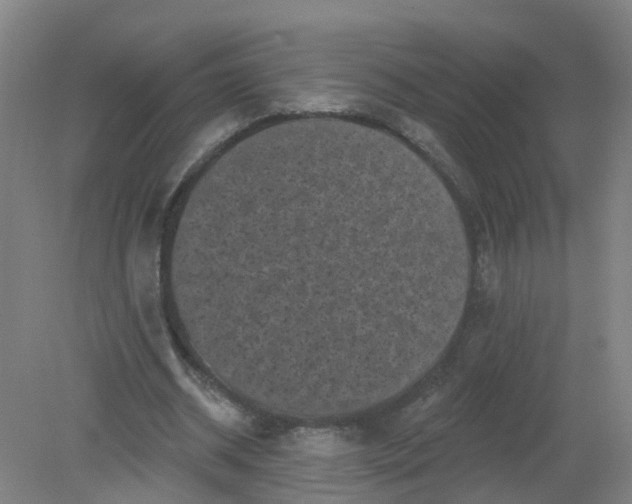 X0000079330534200612011910