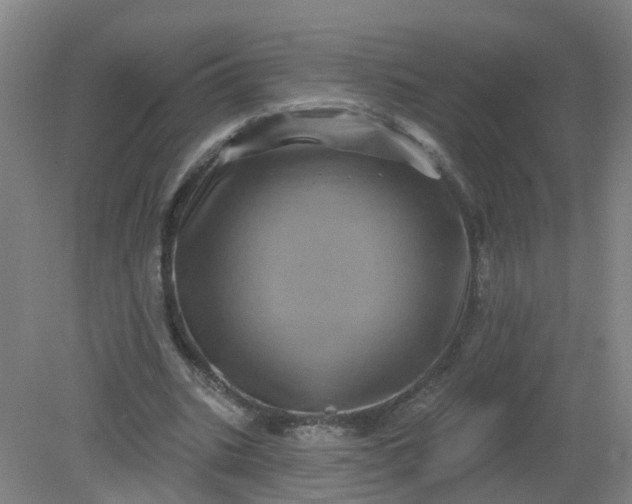 X0000079330535200612011910