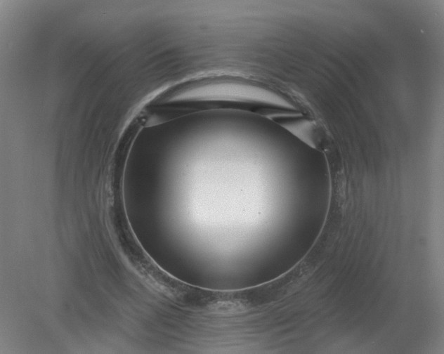 X0000079330536200612011910
