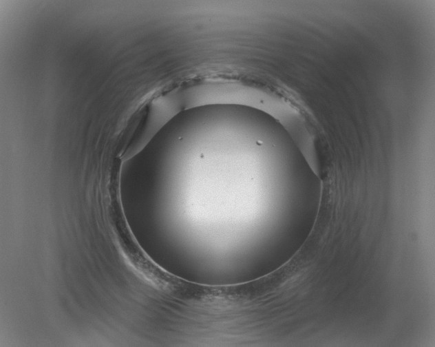 X0000079330538200612011910