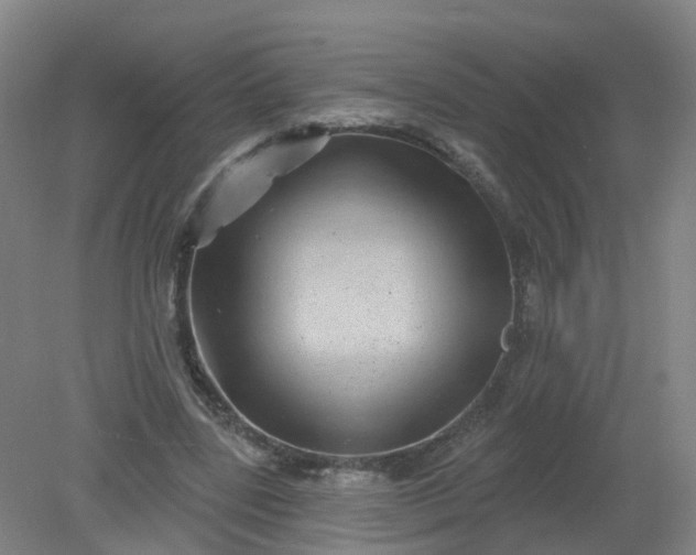 X0000079330539200612011910