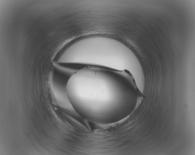 X0000079330540200612011910