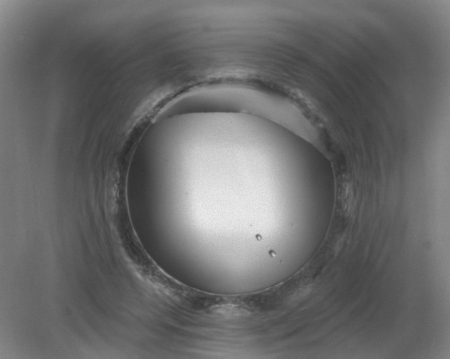 X0000079330544200612011910