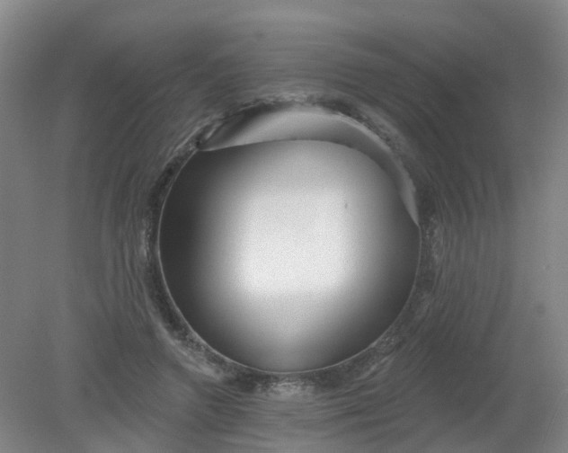 X0000079330546200612011910