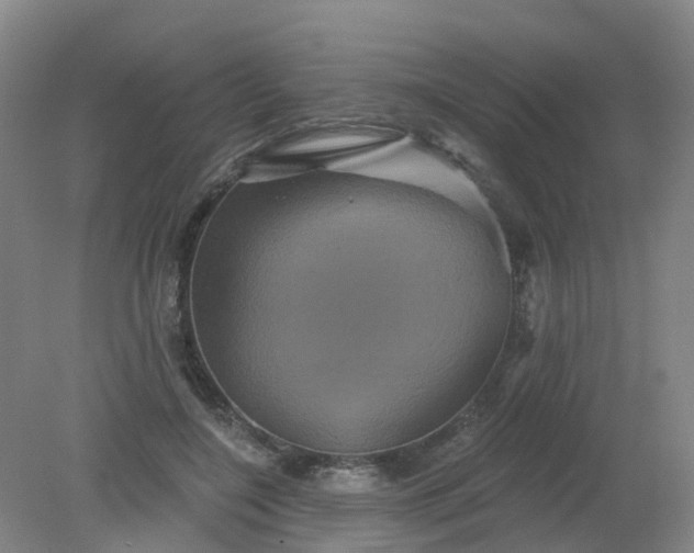 X0000079330548200612011910