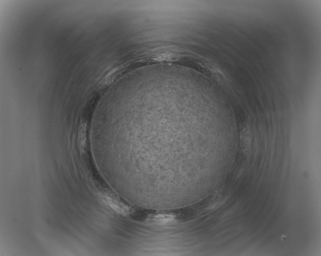 X0000079330554200612011911