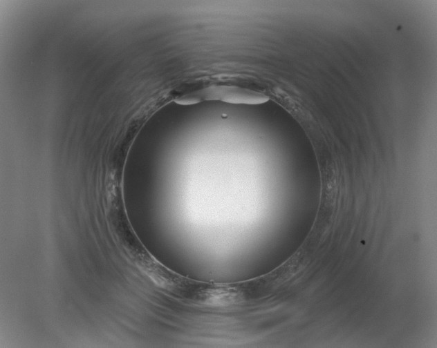 X0000079330555200612011911