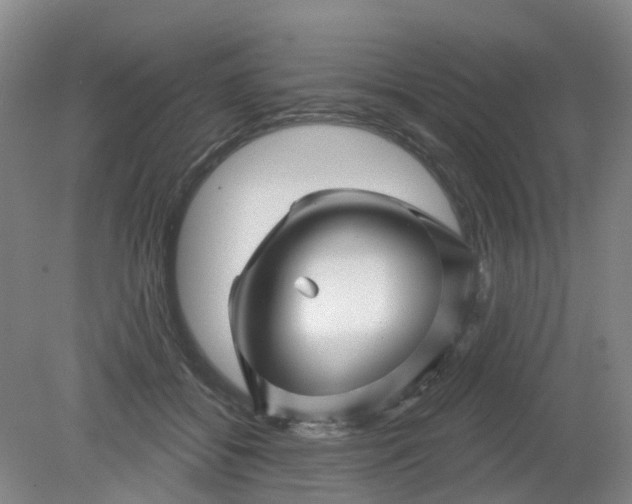 X0000079330556200612011911