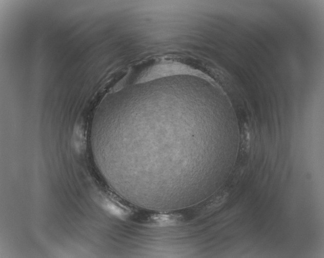 X0000079330558200612011911