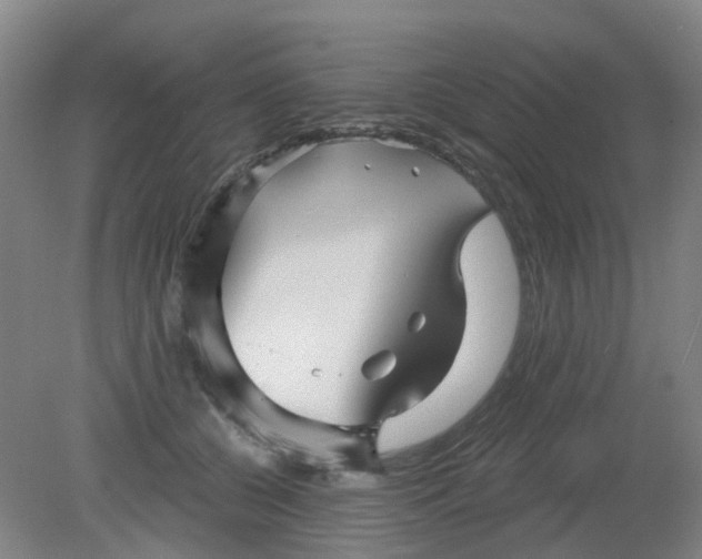 X0000079330560200612011911