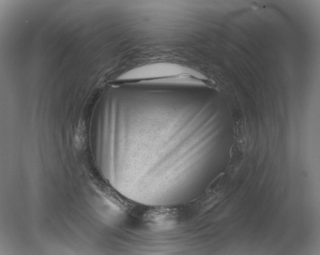 X0000079330563200612011911