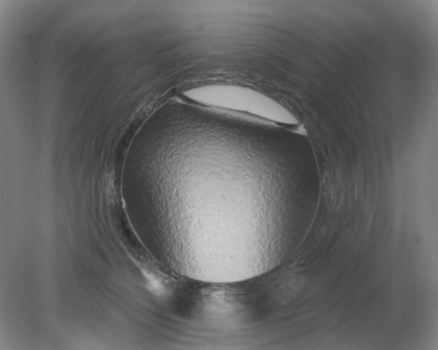 X0000079330564200612011911
