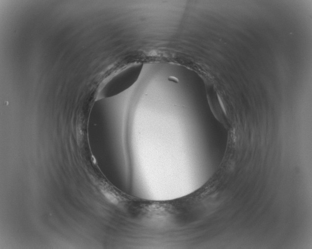 X0000079330566200612011911