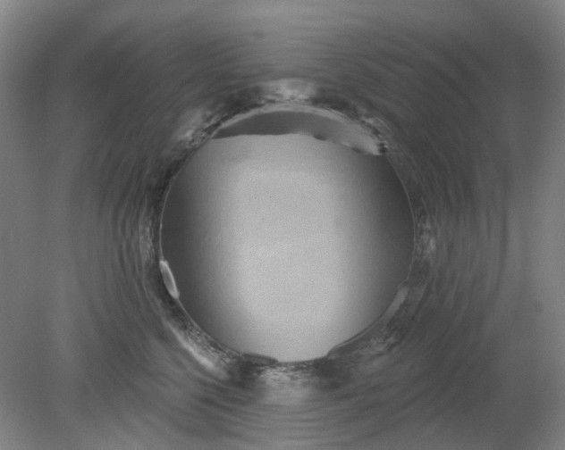 X0000079330568200612011911