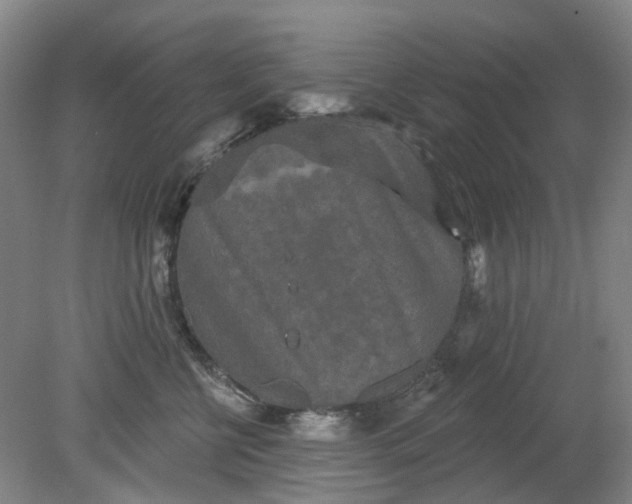 X0000079330570200612011911