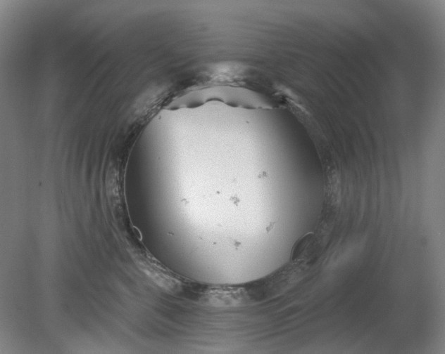 X0000079330571200612011911