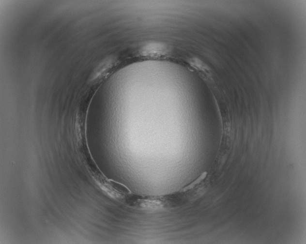 X0000079330572200612011911