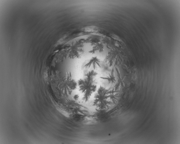 X0000079330573200612011911