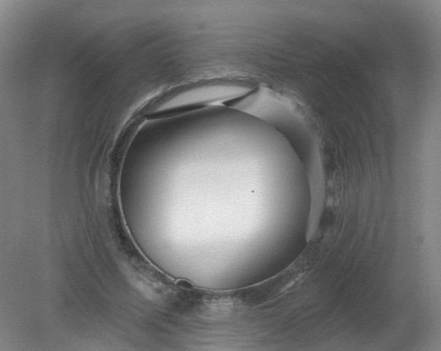 X0000079330587200612011910
