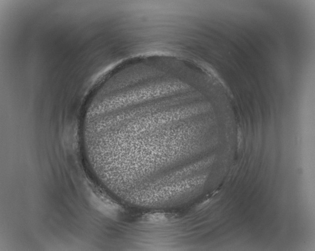 X0000079330588200612011910