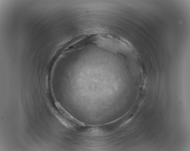 X0000079330589200612011910