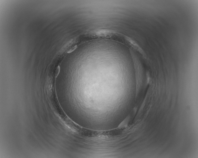 X0000079330593200612011910