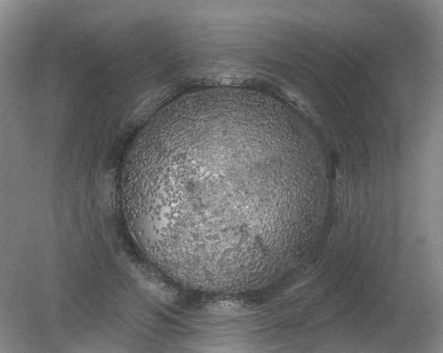 X0000079330594200612011910