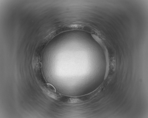 X0000079330605200612011910