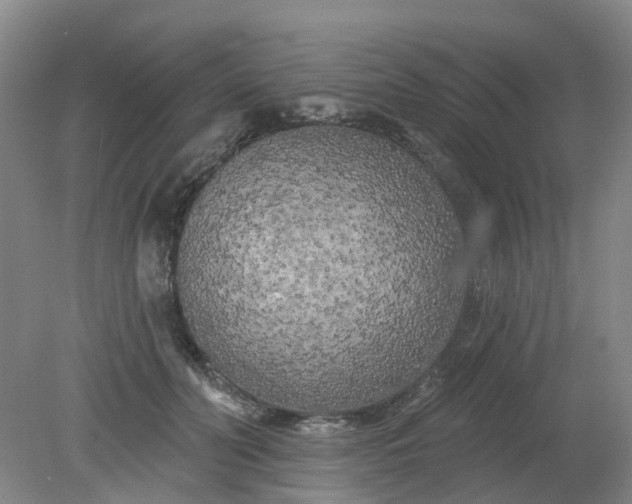 X0000079330606200612011910