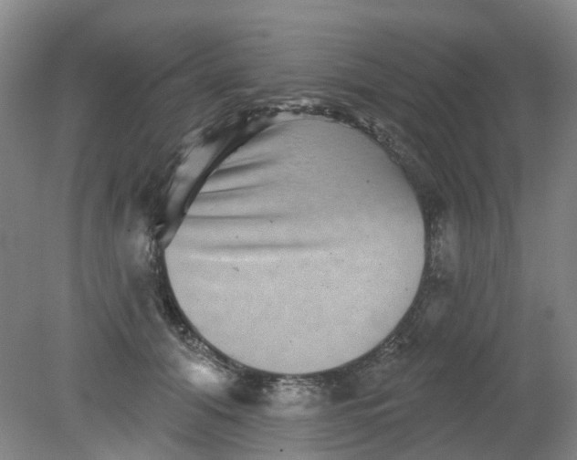 X0000079330608200612011910