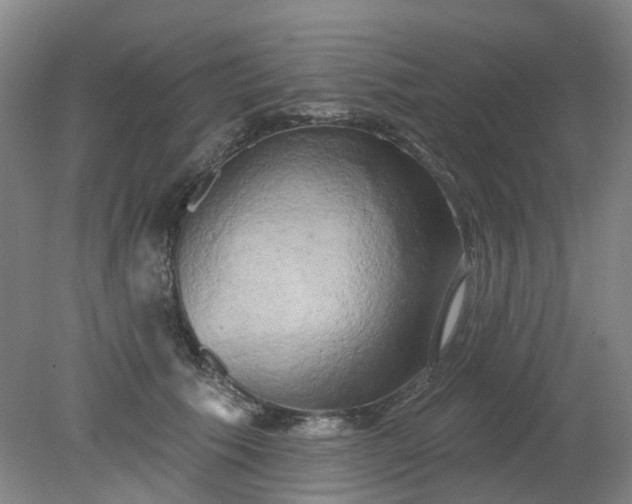 X0000079330609200612011910
