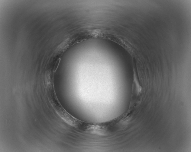 X0000079330611200612011910