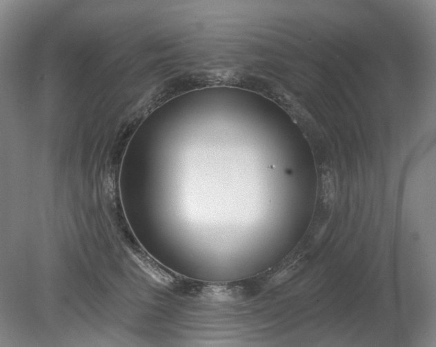 X0000079330613200612011909