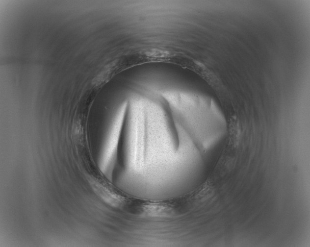 X0000079330614200612011909