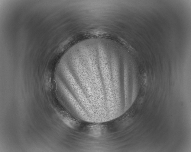 X0000079330615200612011909