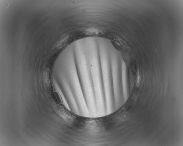 X0000079330616200612011909