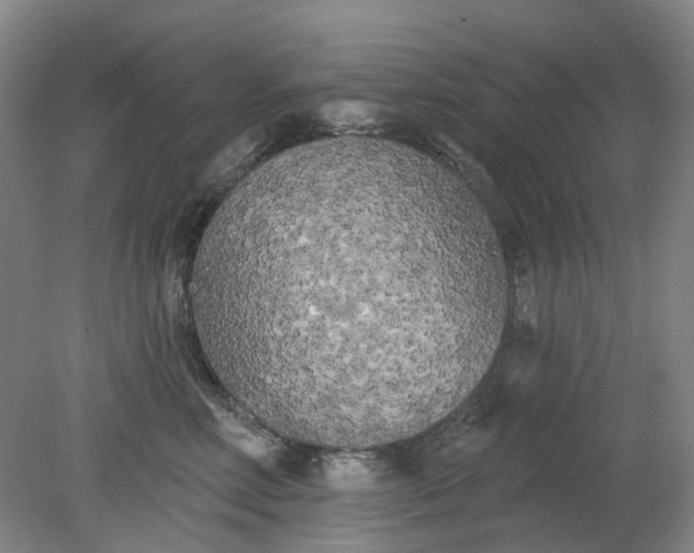 X0000079330618200612011909