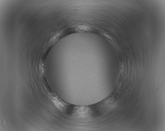 X0000079330621200612011909