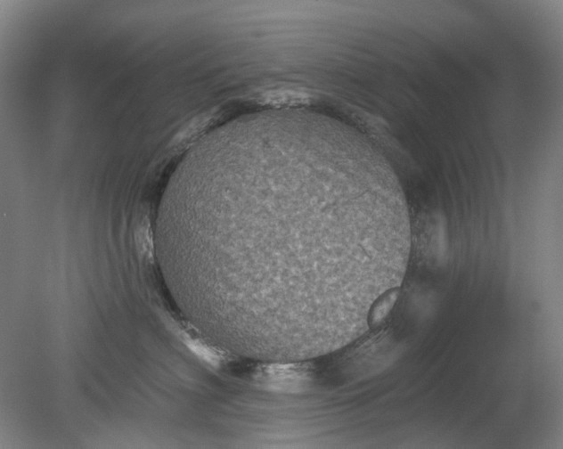 X0000079330622200612011909