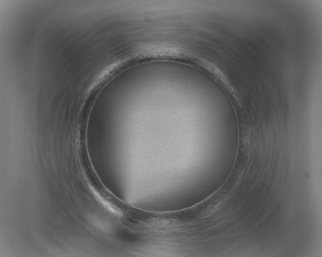 X0000079330629200612011909