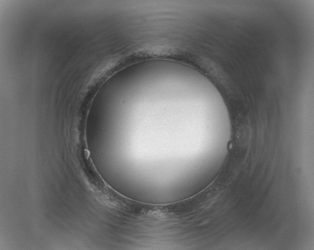 X0000079330635200612011909