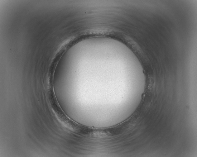 X0000079330636200612011909