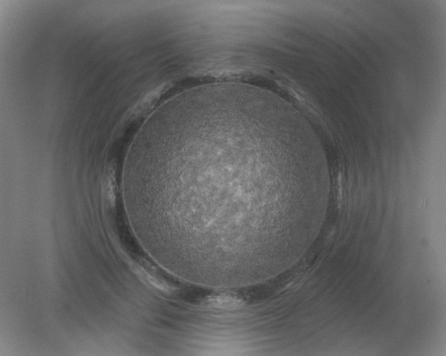 X0000079330644200612011909