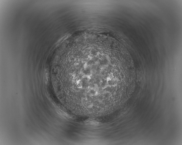X0000079330648200612011909