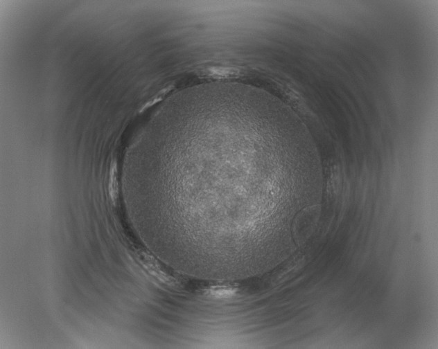 X0000079330651200612011909