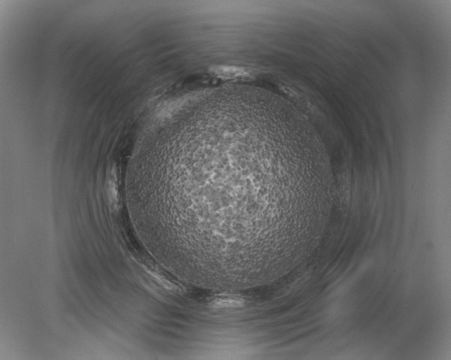 X0000079330653200612011909