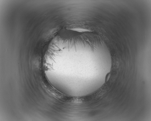 X0000079330656200612011909