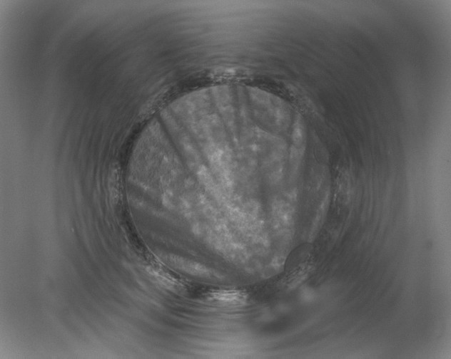X0000079330659200612011909